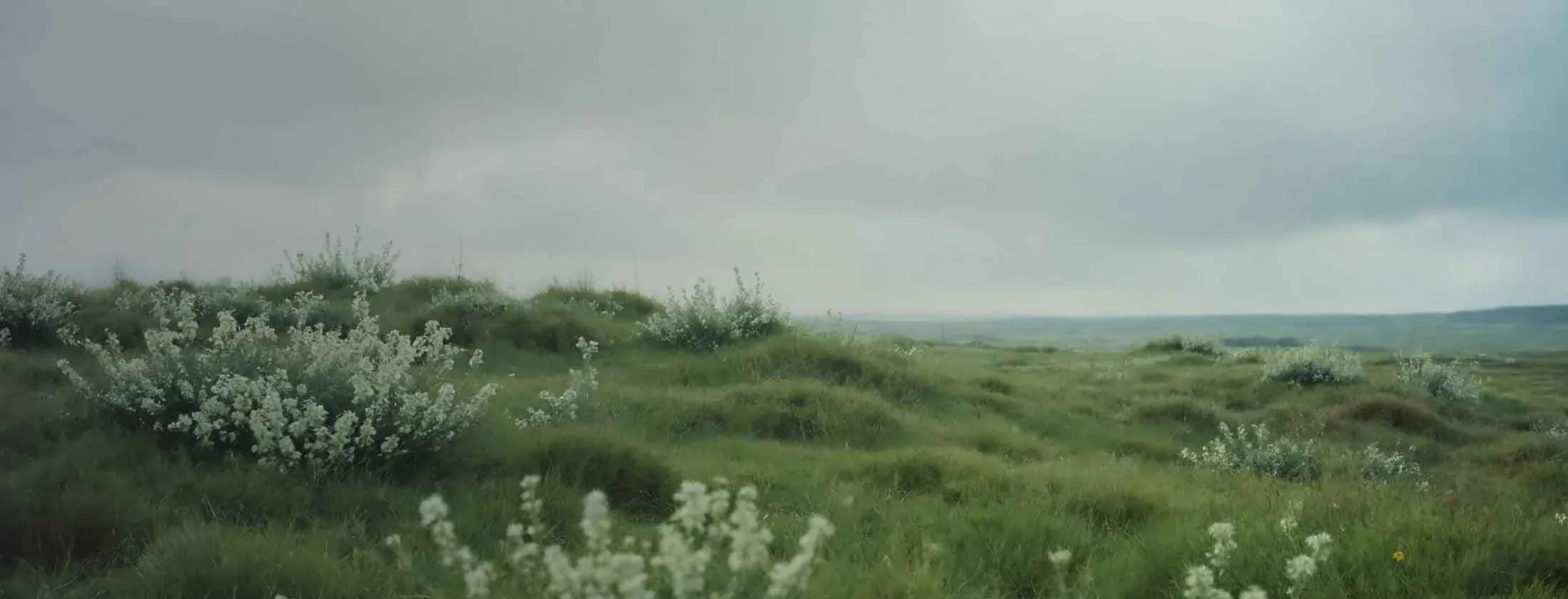 Jämför billån<br />- tryggt & enkelt